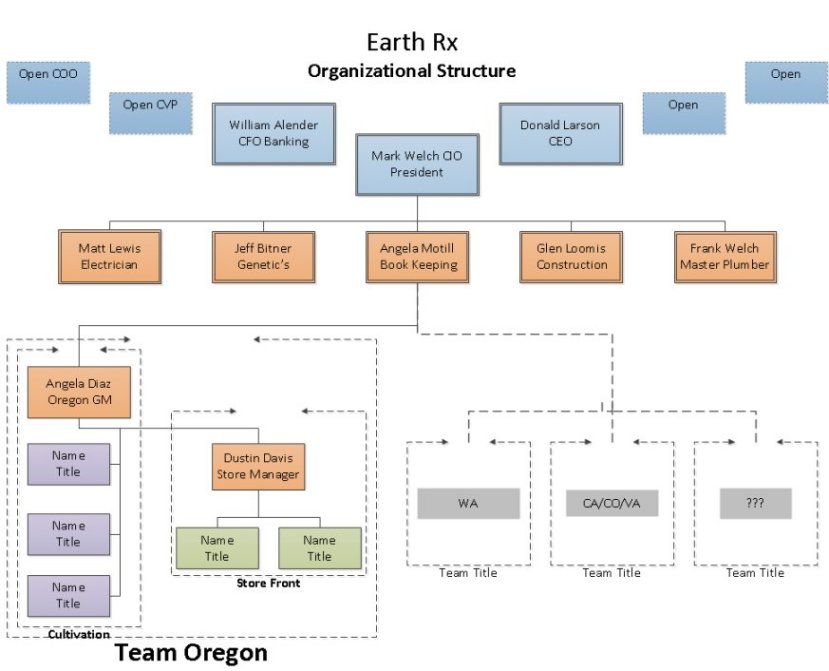 Organazational Structure